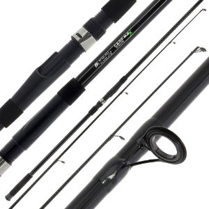 Carp Rods