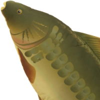 70cm Carp Plush Pillow